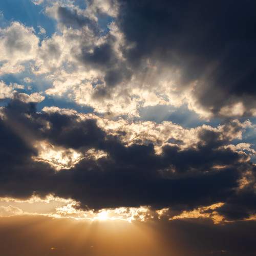Photo #13748198