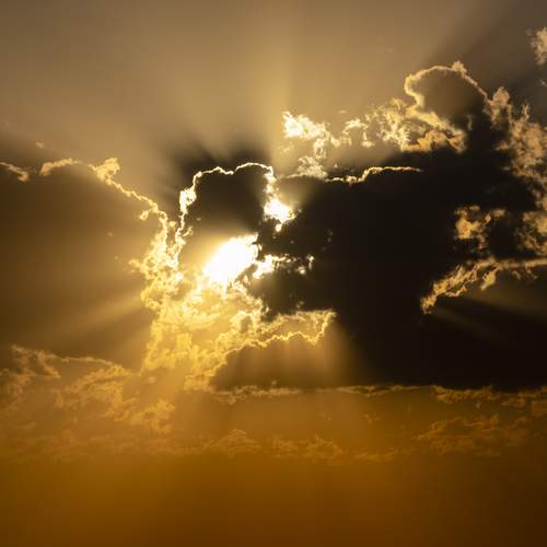 Photo #13748199