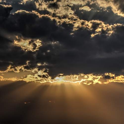 Photo #13748200