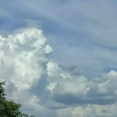 Photo #13748206