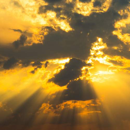 Photo #13748208