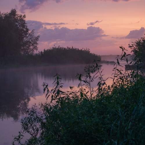Photo #13748223