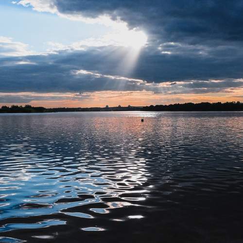 Photo #13748229