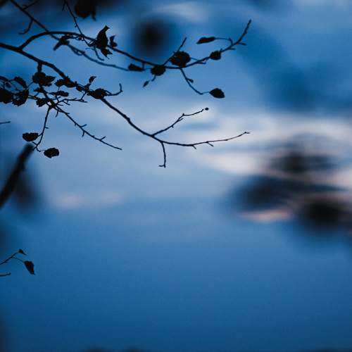 Photo #13748233