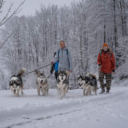 Photo #13748237