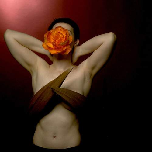 Photo #13748282