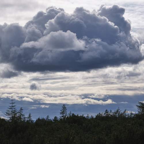 Photo #13748283