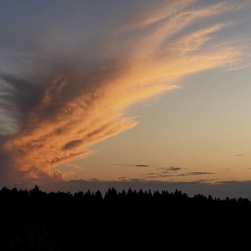 Photo #13748309