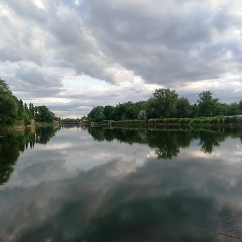 Photo #13748322