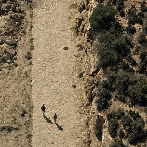 Photo #13748346