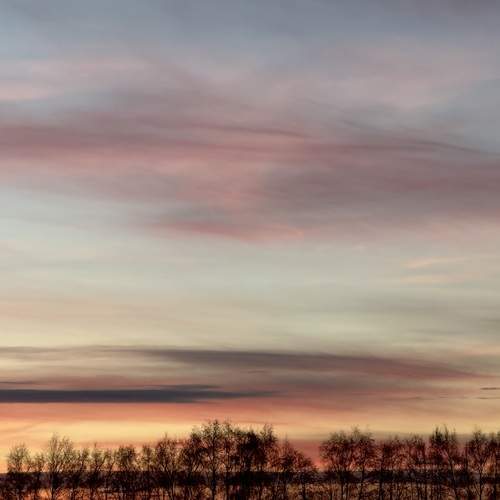 Photo #13748349