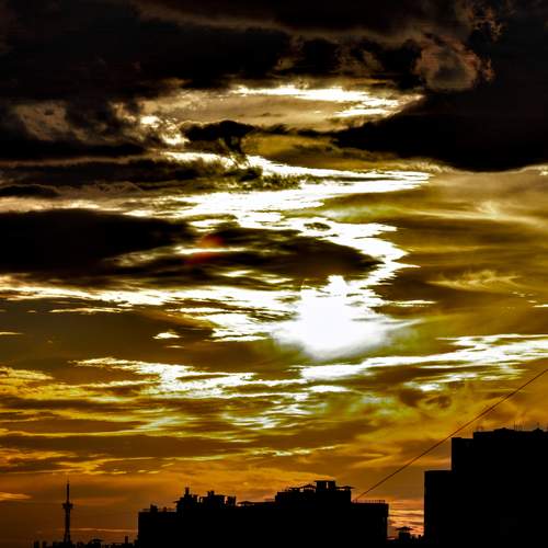 Photo #13748358