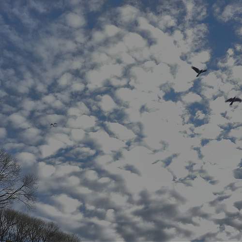 Photo #13748360