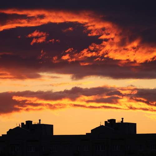 Photo #13748367