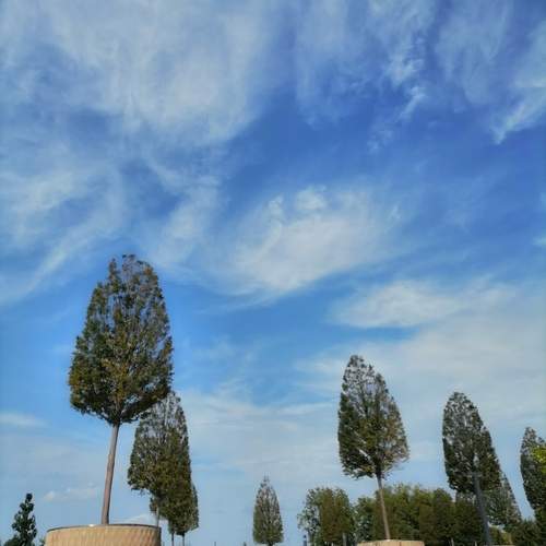 Photo #13748372