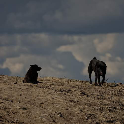 Photo #13748378
