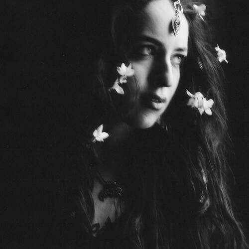Photo #13748393