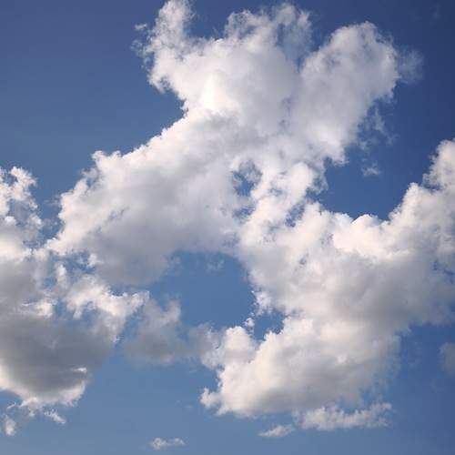 Photo #13748410