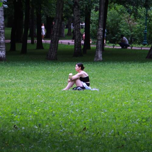 Photo #13748440