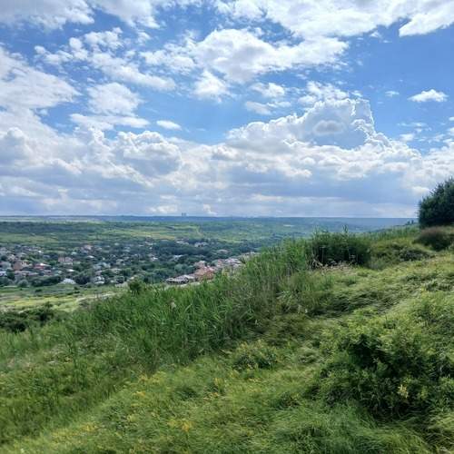 Photo #13748448