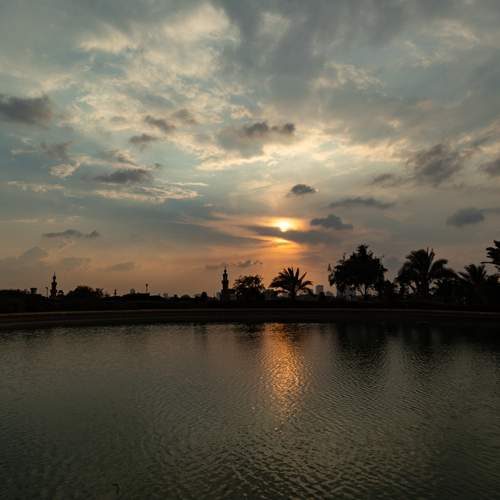Photo #13748450