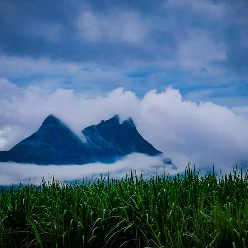 Photo #13748454