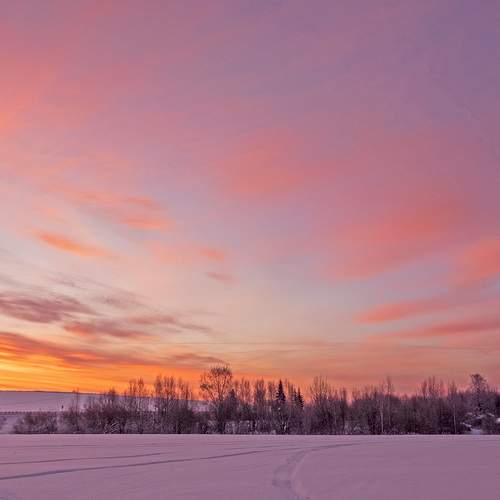 Photo #13748460