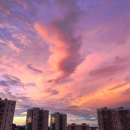 Photo #13748466