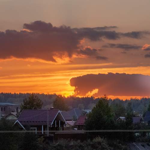 Photo #13748469