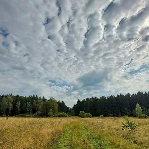 Photo #13748485