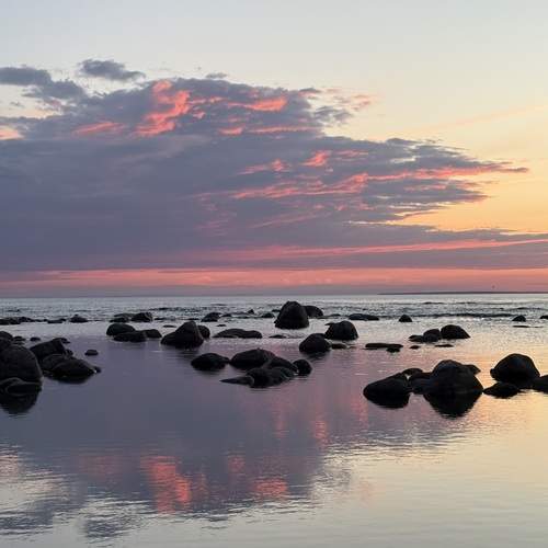Photo #13748486