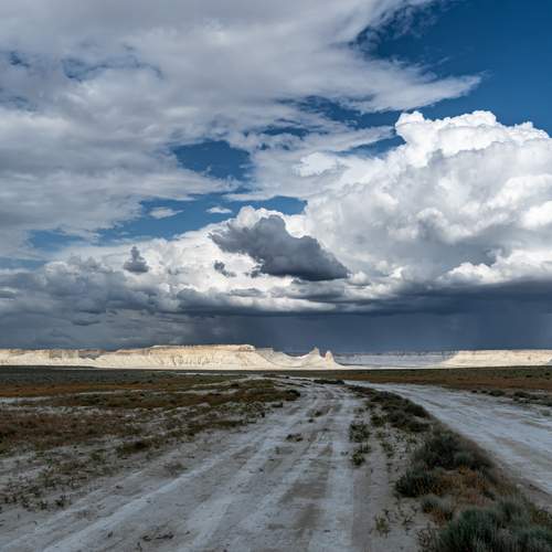 Photo #13748488