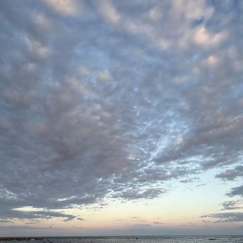 Photo #13748492