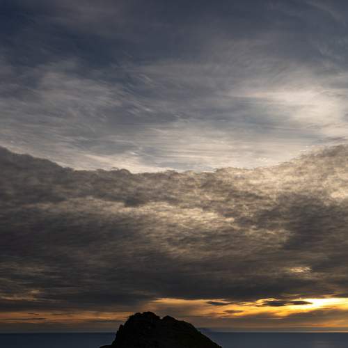 Photo #13748501