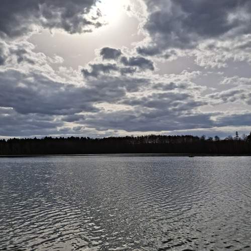 Photo #13748503
