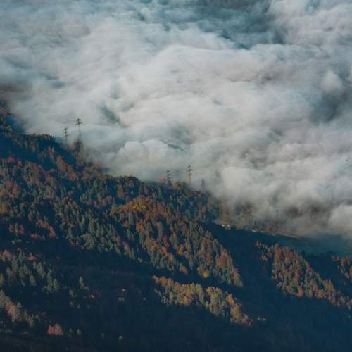 Photo #13748525