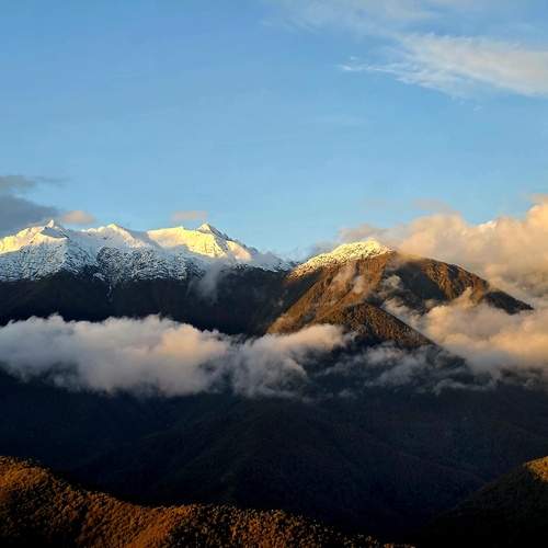Photo #13748533