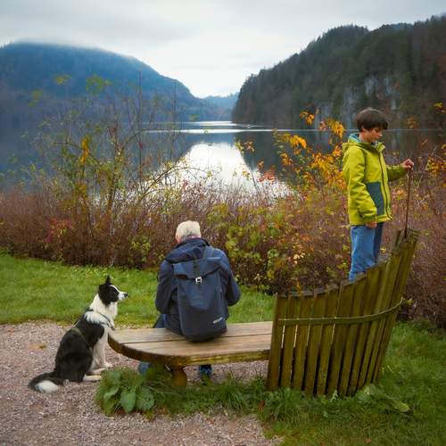 Photo #13748550
