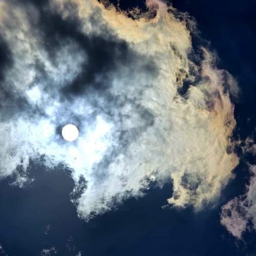 Photo #13748560