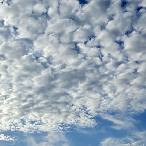 Photo #13748561