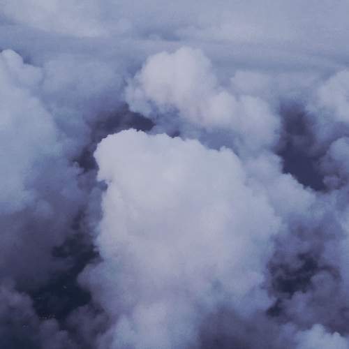 Photo #13748569