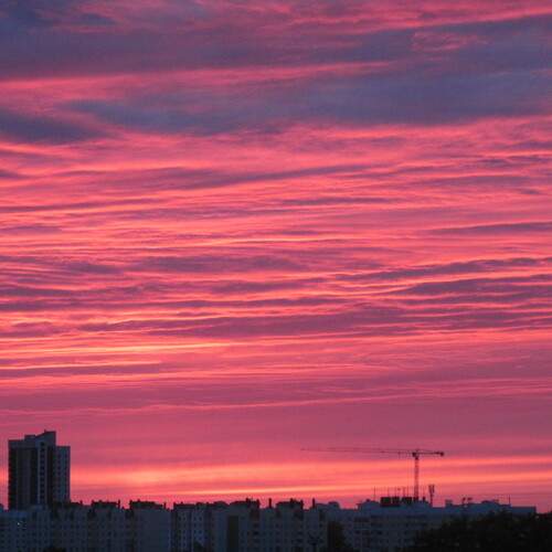 Photo #13748691