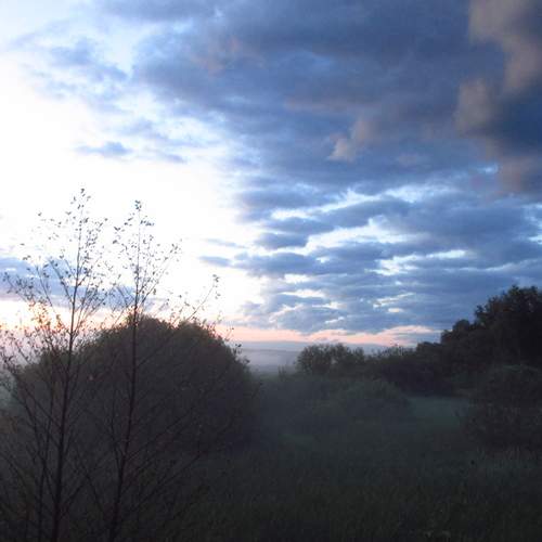 Photo #13748693
