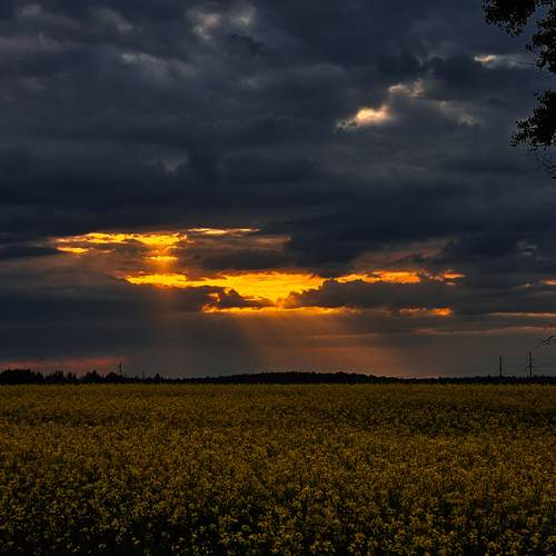 Photo #13748695