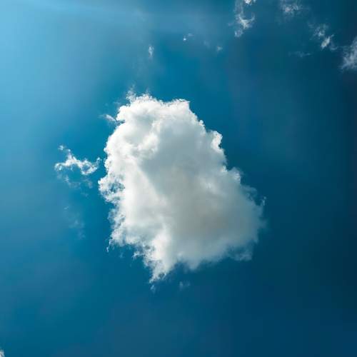 Photo #13748696