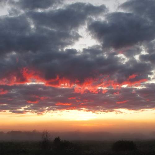 Photo #13748700