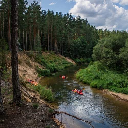Photo #13748712
