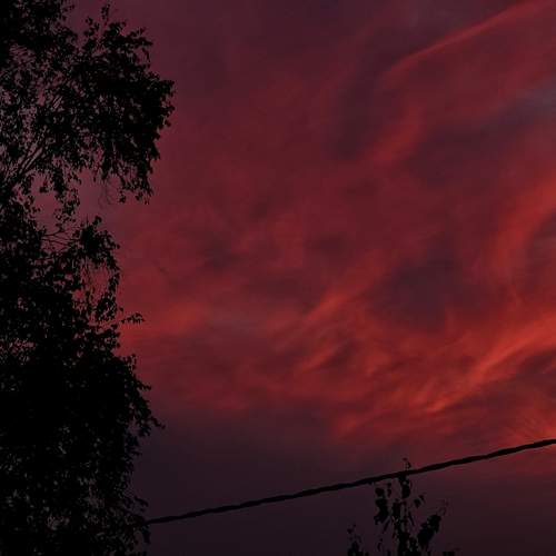 Photo #13748811