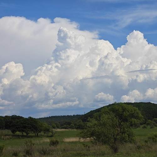Photo #13748813