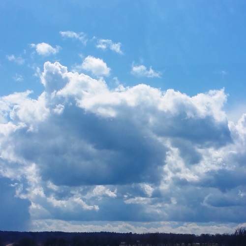 Photo #13748821